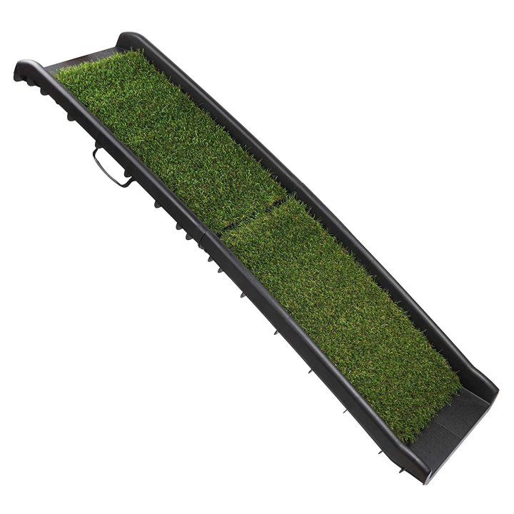 Gen7 pet clearance ramp